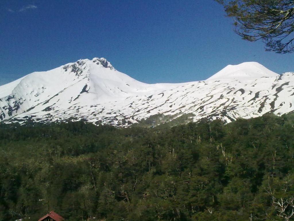 Hosteria-Cabanas Rucapillan Choshuenco Dış mekan fotoğraf